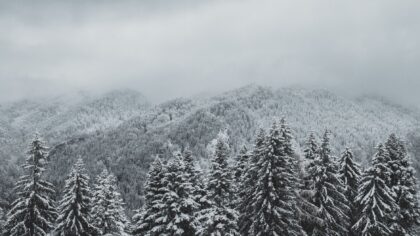 Ką pažiūrėti per karščius: 9 gaivūs kino pasakojimai, kurie nukels į vėsesnius kraštus ir sezonus
